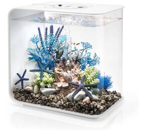 Biorb 822728720325 Flow 15 Acrylic 4-gallon Aquarium With Multi-color Remote Controlled Mcr