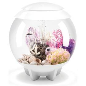 Biorb 822728720387 Halo 15 Acrylic 4-gallon Aquarium With Multi-color Remote-controlled Led Ligh