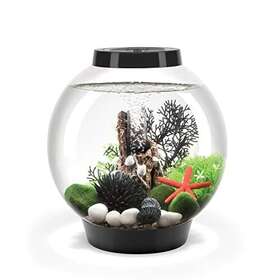 Biorb 822728720400 Classic 15 Acrylic 4-gallon Aquarium With White Led Lights Modern Compact Tan