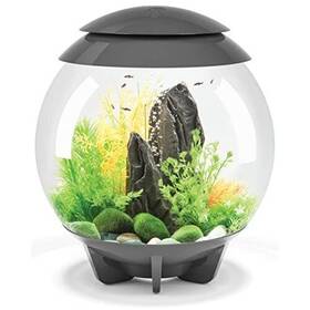 Biorb 822728720417 Halo 15 Acrylic 4-gallon Aquarium With Multi-color Remote-controlled Le