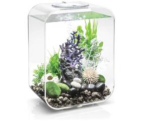 Biorb 822728720523 Life 15 4-gallon Aquarium With White Led Lights Modern Compact Tank
