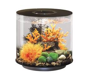 Biorb 822728720646 Tube 15 Acrylic 4-gallon Aquarium With Multi-color Remote-controlled Led Ligh