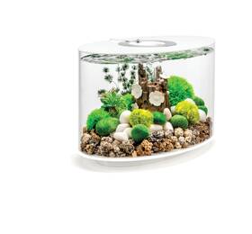 85414 Biorb 822728864142 Loop 15 Acrylic 4-gallon Aquarium With White Led Lights
