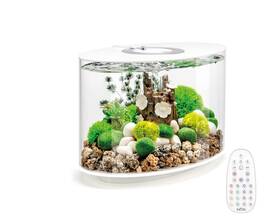 Biorb 822728864692 Loop 15 Acrylic 4-gallon Aquarium With White Led Lights 86469 Gently Used