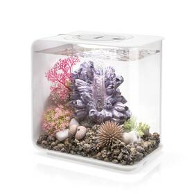 Biorb B005688gj8 Flow 15 Acrylic 4 Gal Aquarium With White Led Lights Modern Compact Tank