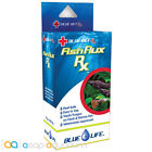 Bl00141 Blue Life Usa Fish Flux Rx Ornamental Antifungal 858542001418