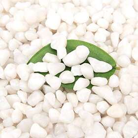 Blqh 738628010032 18 Pounds White Pebbles Aquarium Gravel River Rock Natural Polished