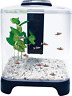Bt1 Penn Plax Fish Tank Betta Aquarium Kit With 691043073207