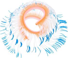 Capastec Qd000261f231122 Silicone Glowing Aquarium Changeable Anemone Fluorescence Aquatic Blue