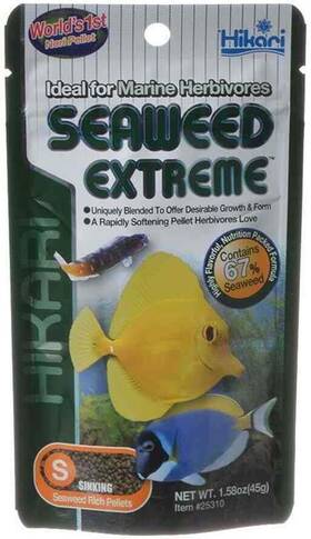 Caseeto 25310 Seaweed Extreme Small Pellet Algae Rich Diet 1.58 Ounce Pack Of 1