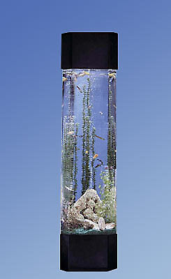 Catlady Ca2614005 Pentagon Aqua Tower
