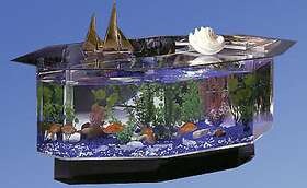 Catlady Ca2614007 Streched Octagon Coffee Table Aquarium