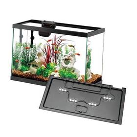 100552048 Central Garden & Pet 20 Gallon Aquarium Starter Kit With Smartclean Filtration And Led Lighting