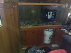 Cf500-uv 90 Gallon Saltwater Fish Aqarium