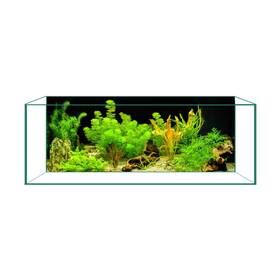 Cick Seed B0f1tsf77p Aquarium Background Ultra Hd Static Cling Fish Tank Decor 23.6x70.8 Inch
