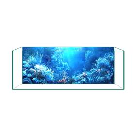 Cick Seed B0f1y93jfd Aquarium Background Ultra Hd Static Cling Fish Tank Decor 17.7x35.4 Inch