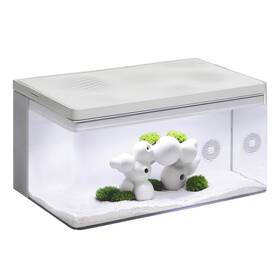 Clairnara 713170187711 Harmony Premium All-in-one Aquatic Tank By - If Design Award Winning 10 Gallo