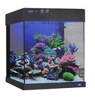 Cn-10-b Jbj 10 Gallon Cubey 6941855207135