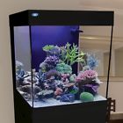 Cn-15-kb Jbj 15 Gallon Cubey 6941855207166