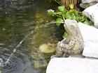 Com-gv-551 Custom Pro Sitting Frog Plumbed Spitter Pump Cast 719239688698