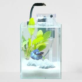 Crd Aq101 Nano Aquarium Kit 1.5 Gallon Rimless Small Glass Tank With Filter L
