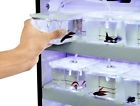 Cup100ct Elive Llc Consumable Fxtr Betta