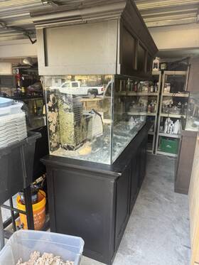 Custom Built 224.4 Aquarium 220 Gallon With Stand And Canopy Black