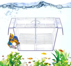 Datoo 726084724280 Fish Breeding Box Aquarium Holding Tank Transparent Isolation Acclimati