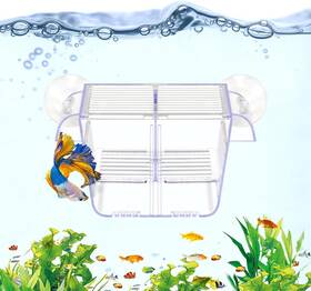 Datoo 744759042811 Fish Breeding Box Aquarium Holding Tank Transparent Isolation Acclimati