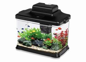 Datoo Df060 Small Fish Tank Ultra-clear 1.6 Gallon Aquarium Starter Kits With Led Light Inch