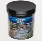 Dbet16 Beaver Creek Aquatics Dry