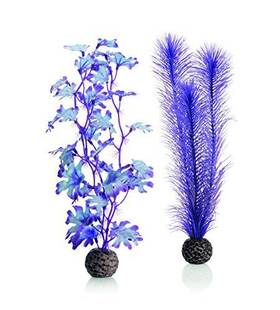 Deepwater Aquatics Distribution 46080.0 Kelp Set Medium Purple Aquariums