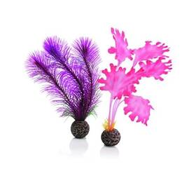 Deepwater Aquatics Distribution 46081.0 Kelp Set Small Pink Aquariums