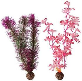 Deepwater Aquatics Distribution 46082.0 Kelp Set Medium Pink Aquariums