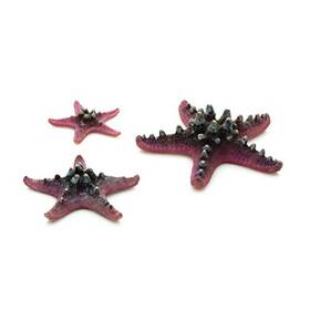Deepwater Aquatics Distribution 46136.0 Starfish Set 3 Pink Aquariums