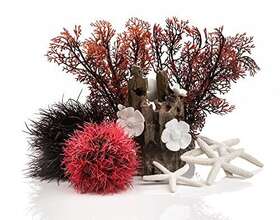 Deepwater Aquatics Distribution 48442.0 D Cor Set - 15l Red Forest Small