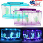 Dgb9263449 Unbranded Betta Fish Aquarium Tank With Led Filter Small Penn