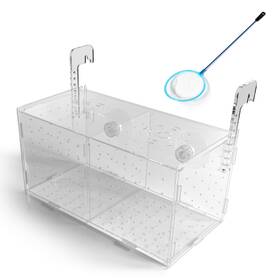 Ex-wv-fbb-536 Disco Radical Fish Breeding Box For Tank Or Aquarium - Isolation And