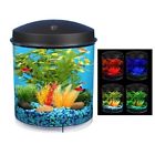 Ei10112 Love Shop Aquarium Kit