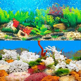 Elebox 3006572 New 20 Inch X 48 Fish Tank Background 2 Sided River Bed And Lake Background