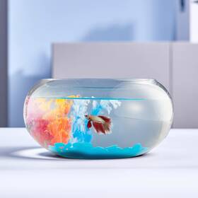 Eletree 313030840882 2 Gallon Glass Fish Bowl With Decor Include Fluorescent Stones And Colorful Plast