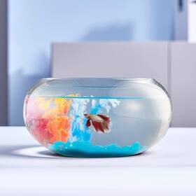 Eletree 445027657623 2 Gallon Glass Fish Bowl With Decor Include Fluorescent Stones And Colorful Plast