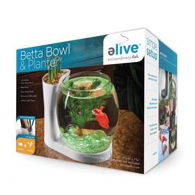 Elive 617407607178 Betta Fish Bowl / Tank With Planter Small 0.75 Gallon
