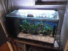 Evo 13.5 Fluval Aquarium