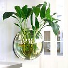 Fa2-jd0613b Fenta Home Decoration Wall 8159223225881