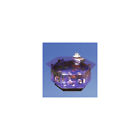 Fb7386be68d147d0b5278f1c24e42a4e Archie Oscar Claire Gallon Alanrium Tank 192464715368