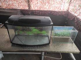 Fils L12-68 Fish Tank Aquarium L