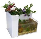 Fin To Flower Aquaponics Large System C White 5 Gallon Water Capacity Hvi 089902507756