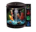Fish Aquarium Starter Kit 2 Gallon Filter Air Pump With Led Lighting Table Top 608042608088