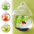 Fish Bubbles Wall Mount Bubble Aquarium Bowl Tank Goldfish Beta Gallon Planter Flowers 076795065326